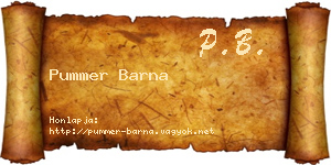 Pummer Barna névjegykártya